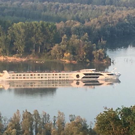 فيلا Kuca Za Odmor Brzica Erdut المظهر الخارجي الصورة