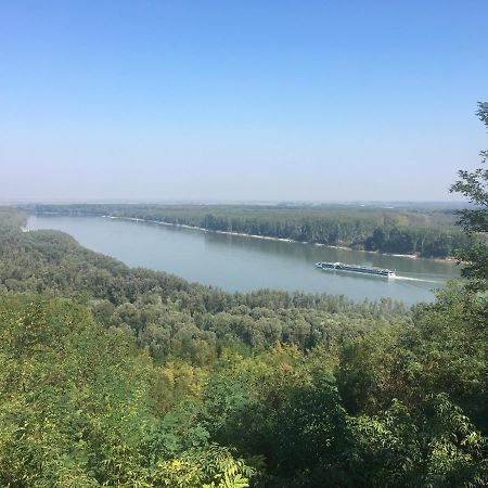 فيلا Kuca Za Odmor Brzica Erdut المظهر الخارجي الصورة