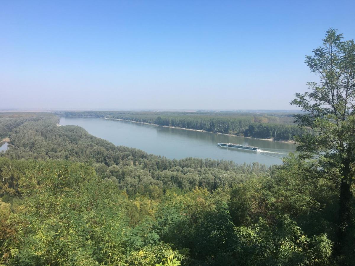 فيلا Kuca Za Odmor Brzica Erdut المظهر الخارجي الصورة